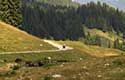 Tour: Passi delle Alpi le curve e i tornanti del Foppa Mortirolo