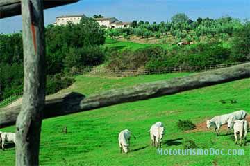 Podernovo Houses e Country - San Liberato di Narni - 2