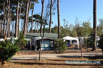 Camping Village Paradiso - Viareggio - 5